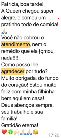 Captura-de-tela-2025-04-30-124835.png