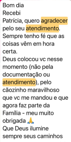 Captura-de-tela-2025-04-30-124905.png
