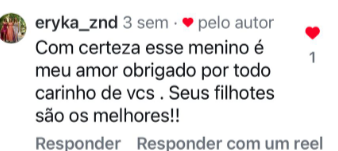 Captura-de-tela-2025-04-30-125133.png